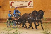 Photo n 43239&#10;Rosires aux Salines 2018 photo  Juliette Mos &#10;&#10;Affiche 32 fois&#10;Ajoute le 31/01/2018 08:10:56 par JeanClaudeGrognet&#10;&#10;--> Cliquer pour agrandir <--