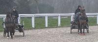 Photo n 43251&#10;Stage L. Astgiano au Lions d'Angers photo Capri&#10;&#10;Affiche 19 fois&#10;Ajoute le 04/02/2018 08:23:56 par JeanClaudeGrognet&#10;&#10;--> Cliquer pour agrandir <--