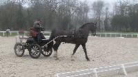 Photo n 43252&#10;Stage L. Astgiano au Lions d'Angers photo Capri&#10;&#10;Affiche 26 fois&#10;Ajoute le 04/02/2018 08:23:56 par JeanClaudeGrognet&#10;&#10;--> Cliquer pour agrandir <--