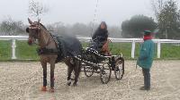 Photo n 43253&#10;Stage L. Astgiano au Lions d'Angers photo Capri&#10;&#10;Affiche 28 fois&#10;Ajoute le 04/02/2018 08:23:56 par JeanClaudeGrognet&#10;&#10;--> Cliquer pour agrandir <--