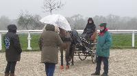 Photo n 43254&#10;Stage L. Astgiano au Lions d'Angers photo Capri&#10;&#10;Affiche 25 fois&#10;Ajoute le 04/02/2018 08:23:56 par JeanClaudeGrognet&#10;&#10;--> Cliquer pour agrandir <--