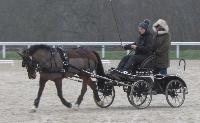 Photo n 43255&#10;Stage L. Astgiano au Lions d'Angers photo Capri&#10;&#10;Affiche 30 fois&#10;Ajoute le 04/02/2018 08:23:56 par JeanClaudeGrognet&#10;&#10;--> Cliquer pour agrandir <--