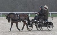 Photo n° 43255
Stage L. Astégiano au Lions d'Angers photo Capri

Affichée 27 fois
Ajoutée le 04/02/2018 08:23:56 par JeanClaudeGrognet

--> Cliquer pour agrandir <--