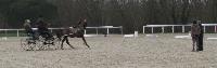 Photo n 43263&#10;Stage L. Astgiano au Lions d'Angers photo Capri&#10;&#10;Affiche 22 fois&#10;Ajoute le 04/02/2018 08:23:57 par JeanClaudeGrognet&#10;&#10;--> Cliquer pour agrandir <--