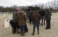 Photo n 43269&#10;Stage L. Astgiano au Lions d'Angers photo Capri&#10;&#10;Affiche 32 fois&#10;Ajoute le 04/02/2018 08:23:57 par JeanClaudeGrognet&#10;&#10;--> Cliquer pour agrandir <--