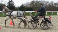 Photo n 43270&#10;Stage L. Astgiano au Lions d'Angers photo Capri&#10;&#10;Affiche 40 fois&#10;Ajoute le 04/02/2018 08:23:57 par JeanClaudeGrognet&#10;&#10;--> Cliquer pour agrandir <--