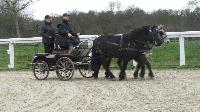 Photo n 43272&#10;Stage L. Astgiano au Lions d'Angers photo Capri&#10;&#10;Affiche 62 fois&#10;Ajoute le 04/02/2018 08:23:57 par JeanClaudeGrognet&#10;&#10;--> Cliquer pour agrandir <--