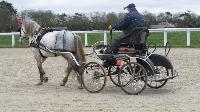 Photo n 43274&#10;Stage L. Astgiano au Lions d'Angers photo Capri&#10;&#10;Affiche 23 fois&#10;Ajoute le 04/02/2018 08:23:57 par JeanClaudeGrognet&#10;&#10;--> Cliquer pour agrandir <--