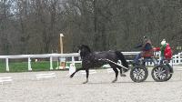 Photo n 43281&#10;Stage L. Astgiano au Lions d'Angers photo Capri&#10;&#10;Affiche 33 fois&#10;Ajoute le 04/02/2018 08:23:57 par JeanClaudeGrognet&#10;&#10;--> Cliquer pour agrandir <--