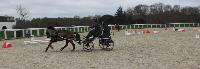 Photo n 43285&#10;Stage L. Astgiano au Lions d'Angers photo Capri&#10;&#10;Affiche 20 fois&#10;Ajoute le 04/02/2018 08:23:57 par JeanClaudeGrognet&#10;&#10;--> Cliquer pour agrandir <--