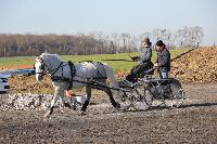 Photo n 43343&#10;Stage Bois de Lihus 17-18/2 avec Michal Sellier&#10;Pascaline Miannay&#10;Affiche 7 fois&#10;Ajoute le 19/02/2018 08:01:57 par JeanClaudeGrognet&#10;&#10;--> Cliquer pour agrandir <--