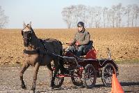 Photo n 43353&#10;Stage Bois de Lihus 17-18/2 avec Michal Sellier&#10;Antoine Venet&#10;Affiche 20 fois&#10;Ajoute le 19/02/2018 08:01:58 par JeanClaudeGrognet&#10;&#10;--> Cliquer pour agrandir <--