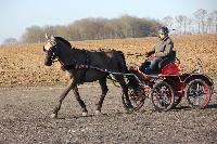 Photo n 43357&#10;Stage Bois de Lihus 17-18/2 avec Michal Sellier&#10;Antoine Venet&#10;Affiche 15 fois&#10;Ajoute le 19/02/2018 08:01:58 par JeanClaudeGrognet&#10;&#10;--> Cliquer pour agrandir <--
