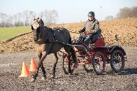 Photo n 43358&#10;Stage Bois de Lihus 17-18/2 avec Michal Sellier&#10;Antoine Venet&#10;Affiche 9 fois&#10;Ajoute le 19/02/2018 08:01:58 par JeanClaudeGrognet&#10;&#10;--> Cliquer pour agrandir <--