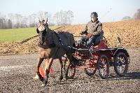 Photo n 43359&#10;Stage Bois de Lihus 17-18/2 avec Michal Sellier&#10;Antoine Venet&#10;Affiche 19 fois&#10;Ajoute le 19/02/2018 08:01:58 par JeanClaudeGrognet&#10;&#10;--> Cliquer pour agrandir <--