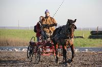 Photo n 43384&#10;Stage Bois de Lihus 17-18/2 avec Michal Sellier&#10;Thomas Clercq&#10;Affiche 12 fois&#10;Ajoute le 19/02/2018 08:01:59 par JeanClaudeGrognet&#10;&#10;--> Cliquer pour agrandir <--
