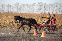 Photo n 43385&#10;Stage Bois de Lihus 17-18/2 avec Michal Sellier&#10;Thomas Clercq&#10;Affiche 20 fois&#10;Ajoute le 19/02/2018 08:01:59 par JeanClaudeGrognet&#10;&#10;--> Cliquer pour agrandir <--