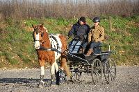 Photo n 43389&#10;Stage Bois de Lihus 17-18/2 avec Michal Sellier&#10;Aurlien Moroy &#10;Affiche 25 fois&#10;Ajoute le 19/02/2018 08:01:59 par JeanClaudeGrognet&#10;&#10;--> Cliquer pour agrandir <--