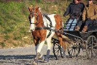 Photo n 43391&#10;Stage Bois de Lihus 17-18/2 avec Michal Sellier&#10;Aurlien Mauroy&#10;Affiche 9 fois&#10;Ajoute le 19/02/2018 08:01:59 par JeanClaudeGrognet&#10;&#10;--> Cliquer pour agrandir <--