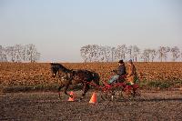 Photo n 43396&#10;Stage Bois de Lihus 17-18/2 avec Michal Sellier&#10;Thomas Clercq&#10;Affiche 13 fois&#10;Ajoute le 19/02/2018 08:01:59 par JeanClaudeGrognet&#10;&#10;--> Cliquer pour agrandir <--