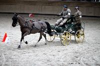 Photo n° 43435
Indoor Deauville 2018. Photo N. TOUDIC
Yves GERARD
Affichée 11 fois
Ajoutée le 19/03/2018 17:18:27 par Nadinetoudic

--> Cliquer pour agrandir <--