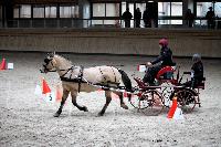 Photo n° 43436
Indoor Deauville 2018. Photo N. TOUDIC
Anthony MARTIN
Affichée 17 fois
Ajoutée le 19/03/2018 17:18:27 par Nadinetoudic

--> Cliquer pour agrandir <--