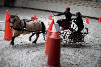 Photo n° 43438
Indoor Deauville 2018. Photo N. TOUDIC
Anthony MARTIN
Affichée 13 fois
Ajoutée le 19/03/2018 17:18:27 par Nadinetoudic

--> Cliquer pour agrandir <--