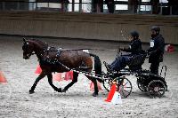 Photo n 43439&#10;Indoor Deauville 2018. Photo N. TOUDIC&#10;Sabine GUERIN&#10;Affiche 17 fois&#10;Ajoute le 19/03/2018 17:18:27 par Nadinetoudic&#10;&#10;--> Cliquer pour agrandir <--