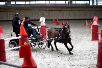 Photo n 43440&#10;Indoor Deauville 2018. Photo N. TOUDIC&#10;Sabine GUERIN&#10;Affiche 8 fois&#10;Ajoute le 19/03/2018 17:18:27 par Nadinetoudic&#10;&#10;--> Cliquer pour agrandir <--