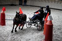 Photo n 43441&#10;Indoor Deauville 2018. Photo N. TOUDIC&#10;Sabine GUERIN&#10;Affiche 18 fois&#10;Ajoute le 19/03/2018 17:18:27 par Nadinetoudic&#10;&#10;--> Cliquer pour agrandir <--