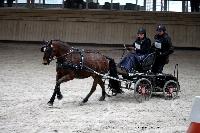 Photo n 43442&#10;Indoor Deauville 2018. Photo N. TOUDIC&#10;Sabine GUERIN&#10;Affiche 23 fois&#10;Ajoute le 19/03/2018 17:18:27 par Nadinetoudic&#10;&#10;--> Cliquer pour agrandir <--