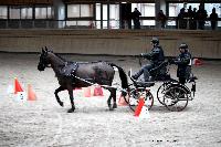 Photo n 43443&#10;Indoor Deauville 2018. Photo N. TOUDIC&#10;Brigitte GIBON&#10;Affiche 13 fois&#10;Ajoute le 19/03/2018 17:18:27 par Nadinetoudic&#10;&#10;--> Cliquer pour agrandir <--