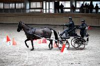 Photo n° 43443
Indoor Deauville 2018. Photo N. TOUDIC
Brigitte GIBON
Affichée 12 fois
Ajoutée le 19/03/2018 17:18:27 par Nadinetoudic

--> Cliquer pour agrandir <--