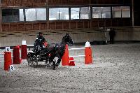 Photo n 43444&#10;Indoor Deauville 2018. Photo N. TOUDIC&#10;Brigitte GIBON&#10;Affiche 16 fois&#10;Ajoute le 19/03/2018 17:18:27 par Nadinetoudic&#10;&#10;--> Cliquer pour agrandir <--