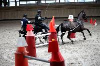Photo n 43445&#10;Indoor Deauville 2018. Photo N. TOUDIC&#10;Brigitte GIBON&#10;Affiche 20 fois&#10;Ajoute le 19/03/2018 17:18:27 par Nadinetoudic&#10;&#10;--> Cliquer pour agrandir <--