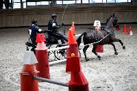 Photo n° 43445
Indoor Deauville 2018. Photo N. TOUDIC
Brigitte GIBON
Affichée 18 fois
Ajoutée le 19/03/2018 17:18:27 par Nadinetoudic

--> Cliquer pour agrandir <--