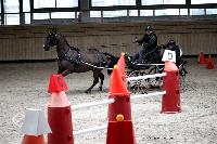 Photo n 43446&#10;Indoor Deauville 2018. Photo N. TOUDIC&#10;Brigitte GIBON&#10;Affiche 30 fois&#10;Ajoute le 19/03/2018 17:18:27 par Nadinetoudic&#10;&#10;--> Cliquer pour agrandir <--