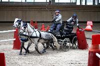Photo n 43449&#10;Indoor Deauville 2018. Photo N. TOUDIC&#10;Pnlope BROOKE&#10;Affiche 19 fois&#10;Ajoute le 19/03/2018 17:18:27 par Nadinetoudic&#10;&#10;--> Cliquer pour agrandir <--