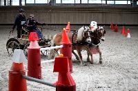 Photo n 43452&#10;Indoor Deauville 2018. Photo N. TOUDIC&#10;Laurence JALADY&#10;Affiche 16 fois&#10;Ajoute le 19/03/2018 17:18:27 par Nadinetoudic&#10;&#10;--> Cliquer pour agrandir <--