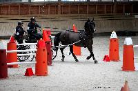 Photo n 43453&#10;Indoor Deauville 2018. Photo N. TOUDIC&#10;Brigitte GIBON&#10;Affiche 19 fois&#10;Ajoute le 22/03/2018 15:30:06 par Nadinetoudic&#10;&#10;--> Cliquer pour agrandir <--