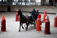 Photo n 43454&#10;Indoor Deauville 2018. Photo N. TOUDIC&#10;Brigitte GIBON&#10;Affiche 13 fois&#10;Ajoute le 22/03/2018 15:30:06 par Nadinetoudic&#10;&#10;--> Cliquer pour agrandir <--