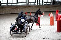 Photo n 43455&#10;Indoor Deauville 2018. Photo N. TOUDIC&#10;Brigitte GIBON&#10;Affiche 10 fois&#10;Ajoute le 22/03/2018 15:30:06 par Nadinetoudic&#10;&#10;--> Cliquer pour agrandir <--