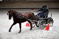 Photo n 43456&#10;Indoor Deauville 2018. Photo N. TOUDIC&#10;David GUERIN&#10;Affiche 13 fois&#10;Ajoute le 22/03/2018 15:30:06 par Nadinetoudic&#10;&#10;--> Cliquer pour agrandir <--