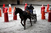 Photo n 43458&#10;Indoor Deauville 2018. Photo N. TOUDIC&#10;David GUERIN&#10;Affiche 7 fois&#10;Ajoute le 22/03/2018 15:30:06 par Nadinetoudic&#10;&#10;--> Cliquer pour agrandir <--