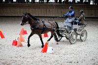 Photo n 43459&#10;Indoor Deauville 2018. Photo N. TOUDIC&#10;Zo BLANCHARD&#10;Affiche 12 fois&#10;Ajoute le 22/03/2018 15:30:06 par Nadinetoudic&#10;&#10;--> Cliquer pour agrandir <--