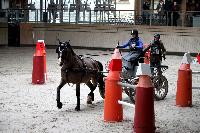 Photo n 43460&#10;Indoor Deauville 2018. Photo N. TOUDIC&#10;Zo BLANCHARD&#10;Affiche 18 fois&#10;Ajoute le 22/03/2018 15:30:06 par Nadinetoudic&#10;&#10;--> Cliquer pour agrandir <--