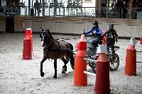 Photo n° 43460
Indoor Deauville 2018. Photo N. TOUDIC
Zoé BLANCHARD
Affichée 17 fois
Ajoutée le 22/03/2018 15:30:06 par Nadinetoudic

--> Cliquer pour agrandir <--