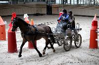 Photo n 43461&#10;Indoor Deauville 2018. Photo N. TOUDIC&#10;Zo BLANCHARD&#10;Affiche 13 fois&#10;Ajoute le 22/03/2018 15:30:06 par Nadinetoudic&#10;&#10;--> Cliquer pour agrandir <--