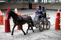 Photo n° 43461
Indoor Deauville 2018. Photo N. TOUDIC
Zoé BLANCHARD
Affichée 11 fois
Ajoutée le 22/03/2018 15:30:06 par Nadinetoudic

--> Cliquer pour agrandir <--