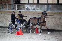 Photo n 43462&#10;Indoor Deauville 2018. Photo N. TOUDIC&#10;Daniel DEFEZ&#10;Affiche 24 fois&#10;Ajoute le 22/03/2018 15:30:06 par Nadinetoudic&#10;&#10;--> Cliquer pour agrandir <--